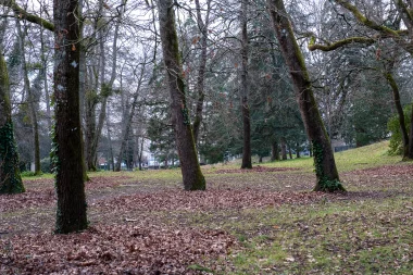 Parc de Bourran de Merignac (6).